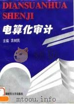 电算化审计 1996 PDF电子版封面 7810490516 袁树民主编