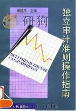 独立审计准则操作指南（1998 PDF版）