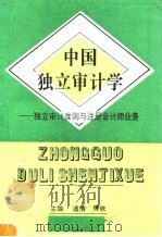 中国独立审计学  独立审计准则与注册会计师业务（1996 PDF版）