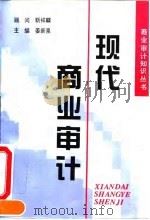 现代商业审计 1994 PDF电子版封面 7505807811 姜新泉主编