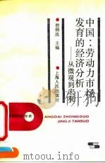 中国：劳动力市场发育的经济分析  从微观到宏观   1992  PDF电子版封面  7208013055  符钢战主编 