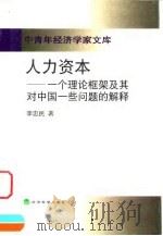 人力资本 一个理论框架及其对中国一些问题的解释 1999 PDF电子版封面 7505819909 李忠民著(陕西师范大学)