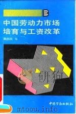 中国劳动力市场培育与工资改革 1994 PDF电子版封面 7504513334 戴园晨等编著