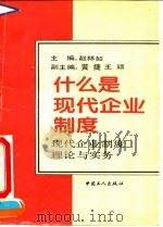 什么是现代企业制度  现代企业制度理论与实务   1994  PDF电子版封面  7500816332  赵林如主编 