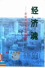 经济魂 企业文化与企业精神 1996 PDF电子版封面 7010025061 卜卫进著