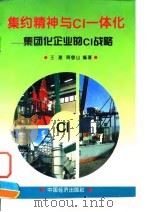 集约精神与CI一体化 集团化企业的CI战略   1996  PDF电子版封面  7501736324  王建，周敬山编著 