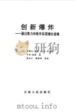 创新爆炸  通过智力和软件实现增长战略   1999  PDF电子版封面  7206031544  （美）詹姆士·奎恩（James Brian Quinn）等著 