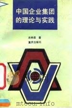 中国企业集团的理论与实践 1991 PDF电子版封面 753661831X 肖林森著