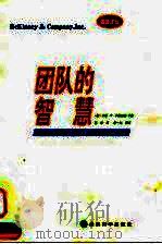 团队的智慧 创建绩优组织 1999 PDF电子版封面 7505818716 (美)乔恩·R·卡曾巴赫(Jon R.Katzenbach)