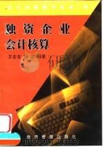 独资企业会计核算 1999 PDF电子版封面 7801186842 王会金,杨杰编著