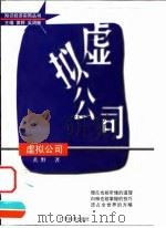 虚拟公司   1999  PDF电子版封面  7806324232  黄野著 