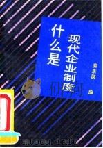 什么是现代企业制度 1994.03 PDF电子版封面 7800026671 姜东溟主编