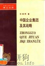 中国企业集团及其战略（1991 PDF版）