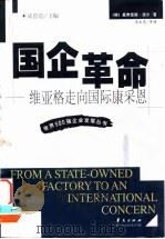 国企革命 维亚格走向国际康采恩 1999 PDF电子版封面 7508019512 (德)曼弗雷德·波尔著;冯文光等译