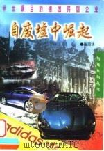自废墟中崛起 举世瞩目的德国跨国企业 1998 PDF电子版封面 7207038941 张丽华