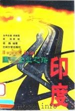 国有企业之路 印度 1999.02 PDF电子版封面 7311014433 邱巍编著