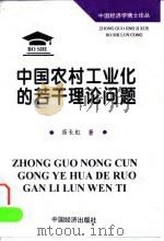 中国农村工业化的若干理论问题  兼述欠发达地区的发展   1997  PDF电子版封面  7501738807  苗长虹著 