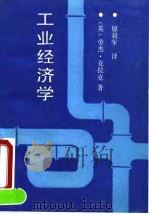工业经济学 1990 PDF电子版封面 7800252965 (英)克拉克著;原毅军译