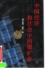 中国经济和社会中的煤矿业  1895-1937   1991  PDF电子版封面  750600223X  （澳）赖特著；丁长清译 