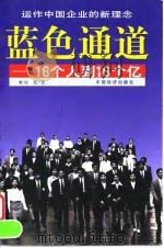 蓝色通道  16个人到16个亿（1998 PDF版）