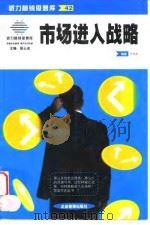市场进入战略（1999 PDF版）