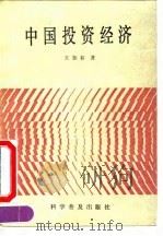 中国投资经济 1990 PDF电子版封面 7110016897 王加春著