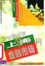 发展中的上海金融市场（1994 PDF版）