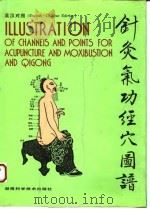 针灸气功经穴图谱 英汉对照 1992 PDF电子版封面 7535710697 王一方,黄一九编;潘远根,尹钢林译