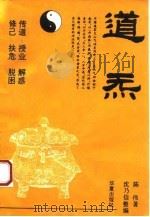 道炁 1994 PDF电子版封面 7508005449 陈伟著;沈乃信整编
