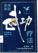 实用家庭武功疗法（1991 PDF版）