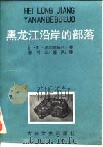黑龙江沿岸的部落 1987 PDF电子版封面 (苏)Е·И·杰烈维扬科著;林树山,姚凤译
