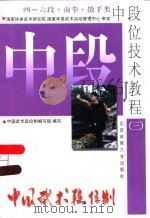 中国武术段位制  中段位技术教程  3  四-六段  南拳·散手类（1998 PDF版）