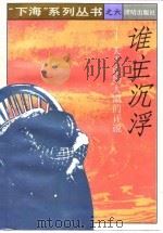 谁主沉浮  关于经商浪潮的评说（1993 PDF版）