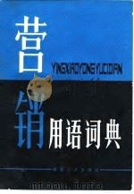 营销用语词典 1988 PDF电子版封面 7211003197 (美)萨庇罗著;周南,吴有根译