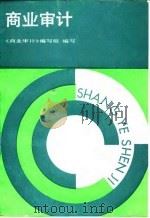 商业审计（1989 PDF版）