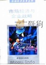 市场经济与企业战略（1994 PDF版）