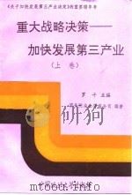 重大战略决策 加快发展第三产业 上 1992 PDF电子版封面 7562008221 罗干
