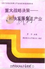 重大战略决策 加强发展第三产业 1992 PDF电子版封面 7562008221 罗干主编;国务院办公厅综合司编著