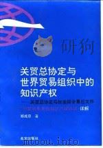 关贸总协定与世界贸易组织中的知识产权  关贸总协定乌拉圭回合最后文件〈与贸易有关的知识产权协议〉详解（1994 PDF版）