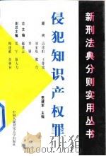 侵犯知识产权罪（1999 PDF版）