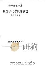 巨分子化学反应原理（1978 PDF版）