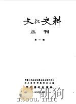文化史料丛刊 第1集 1980 PDF电子版封面 中国人民政治协商会议全国委员会文史资料研究委员会编