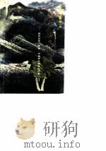 海南文史资料  第1辑  琼岛风雨（1989 PDF版）