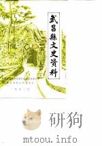 武昌县文史资料 第4辑 1990 PDF电子版封面 中国人民政治协商会议武昌县委员会文史资料工作委员会