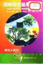 图解微型盆景栽培  1  黑松·真柏（1999 PDF版）