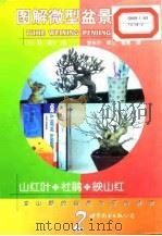 图解微型盆景栽培  2  山红叶·杜鹃·映山红   1999  PDF电子版封面  750624179X  （日）群境介著；李东杰等译 
