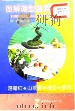 图解微型盆景栽培 3 落霜红·山苹果·梅花·樱花 1999 PDF电子版封面 7506241803 (日)群境介著;李东杰等译