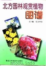 北方园林观赏植物图谱 1999 PDF电子版封面 7538834923 任步均主编