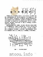 营造法原 1986 PDF电子版封面 15040·4953 姚承祖著;张至刚增编