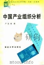 中国产业组织分析（1991 PDF版）